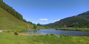 Beitragsbild des Blogbeitrags Naturschatz Grießener Moor