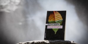 Beitragsbild des Blogbeitrags Salzburger Krimi: Drachenjungfrau