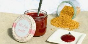 Beitragsbild des Blogbeitrags Senf selbermachen – Fruchtiger Himbeersenf