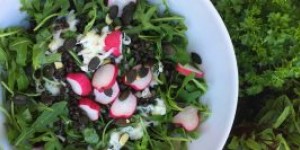Beitragsbild des Blogbeitrags Belugalinsen Salat mit Kohlrabi und Rucola 