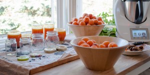 Beitragsbild des Blogbeitrags Ich habe einen neuen Freund … und er macht nur das, was ich will! Oder – wie ich meinen Thermomix lieben lernte * Außerdem: Marmelade einkochen 2.0 