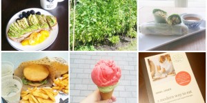 Beitragsbild des Blogbeitrags Vegan Kitchen Stories – Tag 2/Der große rosa Elefant macht es sich hier gemütlich