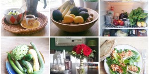 Beitragsbild des Blogbeitrags Vegan Kitchen Stories – Tag 4/Keine Elefantensichtungen heute