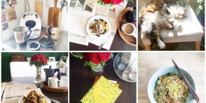 Beitragsbild des Blogbeitrags Vegan Kitchen Stories – Tag 5/Das süße Nichtstun… und ein Rezept für Miso-Zucchini mit Vollkorn-Reisnudeln 