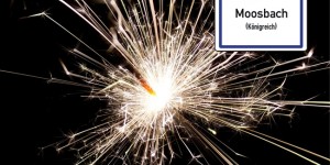 Beitragsbild des Blogbeitrags Neujahrsansprache 2017