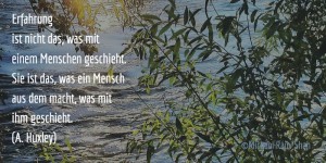 Beitragsbild des Blogbeitrags Systemisch by Nature – der systemische Ansatz
