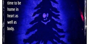 Beitragsbild des Blogbeitrags Besinntes Weihnachten zum Weihnachts-fest-igen 