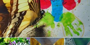 Beitragsbild des Blogbeitrags „Die Döblinger“ Schmetterlingswoche 