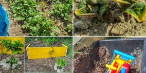 Beitragsbild des Blogbeitrags „Die Döblinger“ Bauarbeiter*innen Woche
