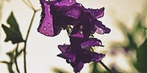Beitragsbild des Blogbeitrags Das war mein Sommer 2016 