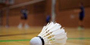 Beitragsbild des Blogbeitrags ASKÖ Linz Badminton – Das Training 