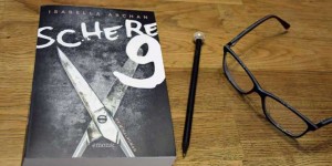 Beitragsbild des Blogbeitrags Buchempfehlung – Schere 9