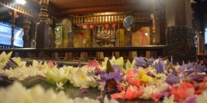 Beitragsbild des Blogbeitrags Kandy und seine Highlights