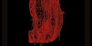 Beitragsbild des Blogbeitrags Vorbestellbar: Suspiria 4K Steelbook