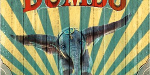 Beitragsbild des Blogbeitrags Vorbestellbare Dumbo Steelbooks in der Übersicht 