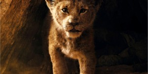 Beitragsbild des Blogbeitrags Vorbestellbar: The Lion King Steelbooks