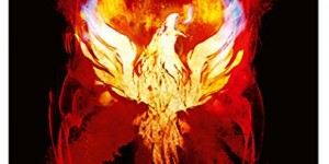 Beitragsbild des Blogbeitrags Vorbestellbar: X-Men: Dark Phoenix Steelbooks