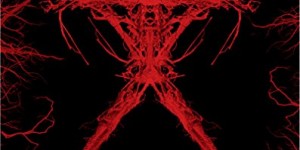 Beitragsbild des Blogbeitrags Steelbook Preisreduzierung: Blair Witch & Blair Witch Project