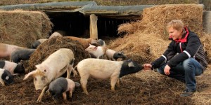 Beitragsbild des Blogbeitrags Klimaschutzpreis an Biohof Labonca