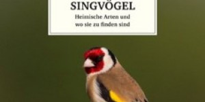 Beitragsbild des Blogbeitrags Gimpel und Räuber Hotzenplotz