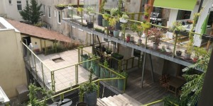 Beitragsbild des Blogbeitrags Ein „saurer“ Wiener Stadtbauernhof