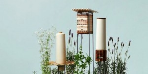 Beitragsbild des Blogbeitrags Gebt Wildbienen eine Chance