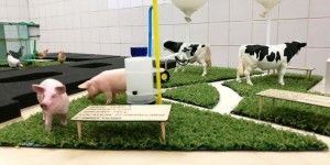 Beitragsbild des Blogbeitrags „Egg To Go“ auf der Vienna Design Week