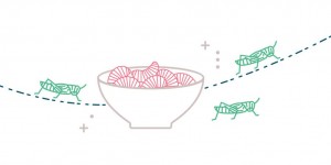 Beitragsbild des Blogbeitrags Insekten beim dritten über_Land Future Food Talk