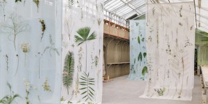 Beitragsbild des Blogbeitrags Poetischer Avantgarden im Botanischen Garten