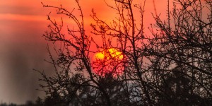 Beitragsbild des Blogbeitrags Steiermark: Ein Wochenende im Zeichen der Entschleunigung