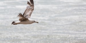 Beitragsbild des Blogbeitrags Life Update: Über Egoismus, Glück und Prioritäten.