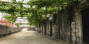 Beitragsbild des Blogbeitrags Portugal: Ein Spaziergang durch die Portwein-Hauptstadt Vila Nova de Gaia 