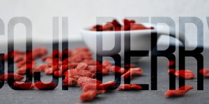 Beitragsbild des Blogbeitrags Superfood: Goji Berry 
