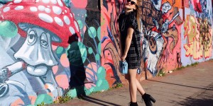 Beitragsbild des Blogbeitrags Amanita