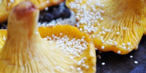 Beitragsbild des Blogbeitrags Amaranth Mushroom Bowl
