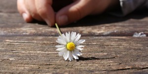 Beitragsbild des Blogbeitrags Glücksmomente schaffen. Auszeit für sich selbst. Loslassen. Eine Liste voll mit schönen Sachen. 