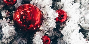 Beitragsbild des Blogbeitrags Einblicke: Wie verbringen Ines und Thomas von Gin des Lebens Weihnachten?
