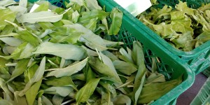 Beitragsbild des Blogbeitrags Wie Einkaufen glücklich machen kann: Der Grünmarkt von Linz