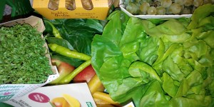 Beitragsbild des Blogbeitrags Mein Resümee nach 2 Wochen frisch zubereiteter Mischkost || Clean Eating…