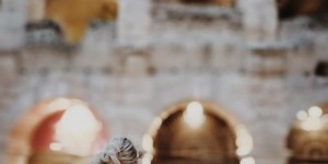 Beitragsbild des Blogbeitrags 12 Stunden Verona: Ich und die Stadt der Liebe