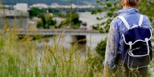 Beitragsbild des Blogbeitrags Oberösterreich 2019: Was ist los?