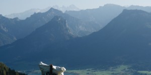 Beitragsbild des Blogbeitrags AUSFLUG AM WOCHENENDE: DER SCHAFBERG (1782 HM) AM WOLFGANGSEE