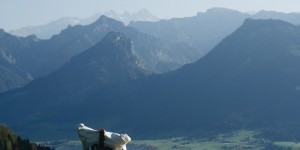 Beitragsbild des Blogbeitrags AUSFLUG AM WOCHENENDE: DER SCHAFBERG (1782 HM) AM WOLFGANGSEE 