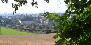 Beitragsbild des Blogbeitrags Summer in the City // Sonnenstrahlen und Farben sammeln im Sommer in Linz