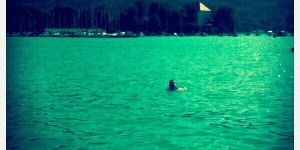 Beitragsbild des Blogbeitrags Ein Smoothie der dich an Wörthersee und Yoga erinnern soll… 