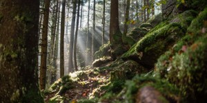 Beitragsbild des Blogbeitrags Wandertag