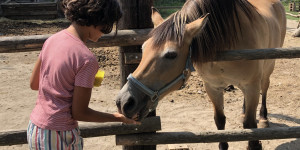 Beitragsbild des Blogbeitrags Vienna Kids Farm