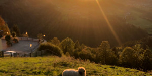 Beitragsbild des Blogbeitrags Naturnaher Familienurlaub in St. Johann im Pongau