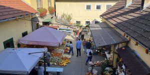 Beitragsbild des Blogbeitrags Kürbishof in der Nähe von Wien: Franzlbauer
