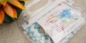 Beitragsbild des Blogbeitrags Cosmeterie Beauty Case Wanderlust